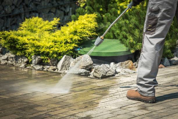Best Solar Panel Cleaning  in Asbury Lake, FL